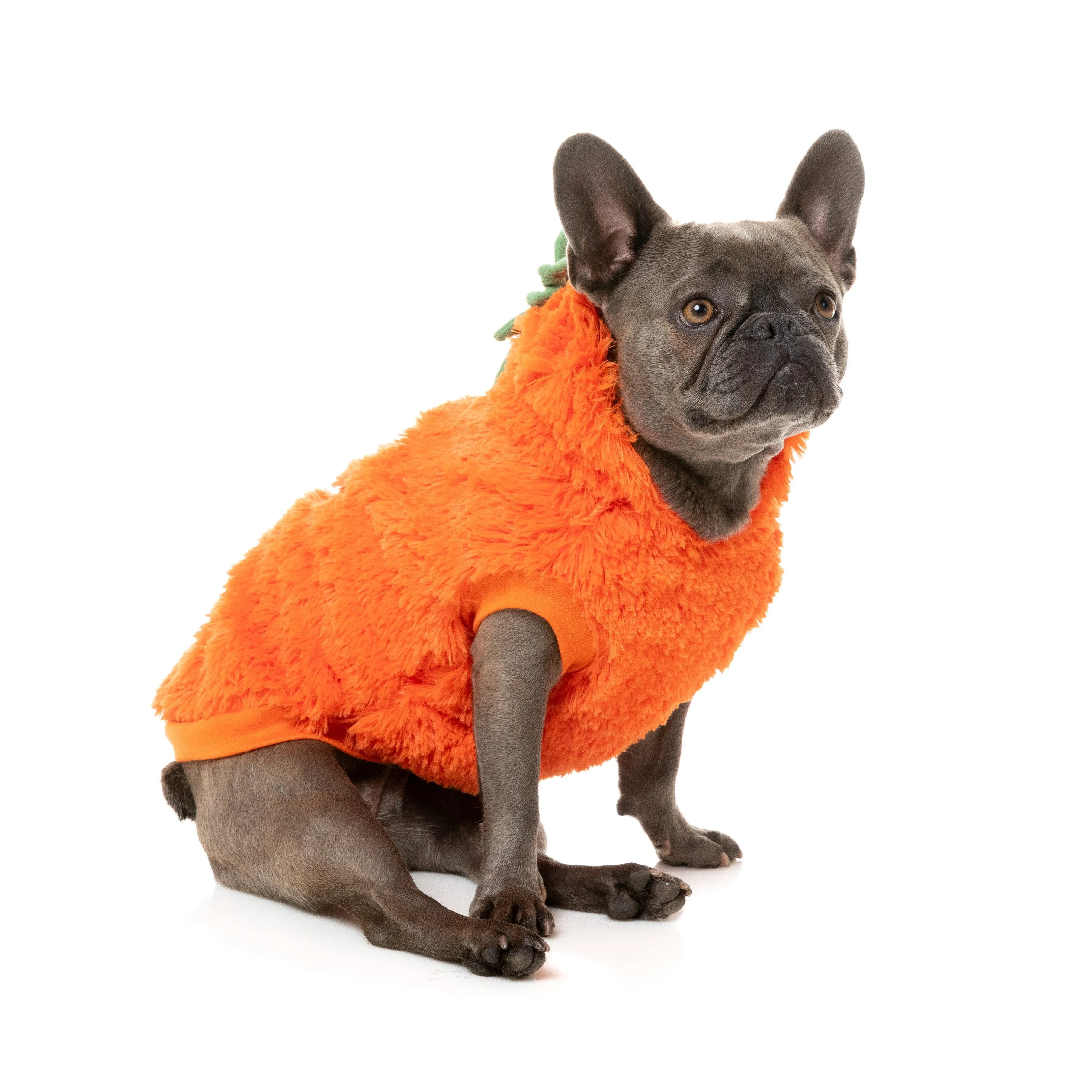 FuzzYard Halloween Dog Apparel Pumpkin Head Hoodie Size 5