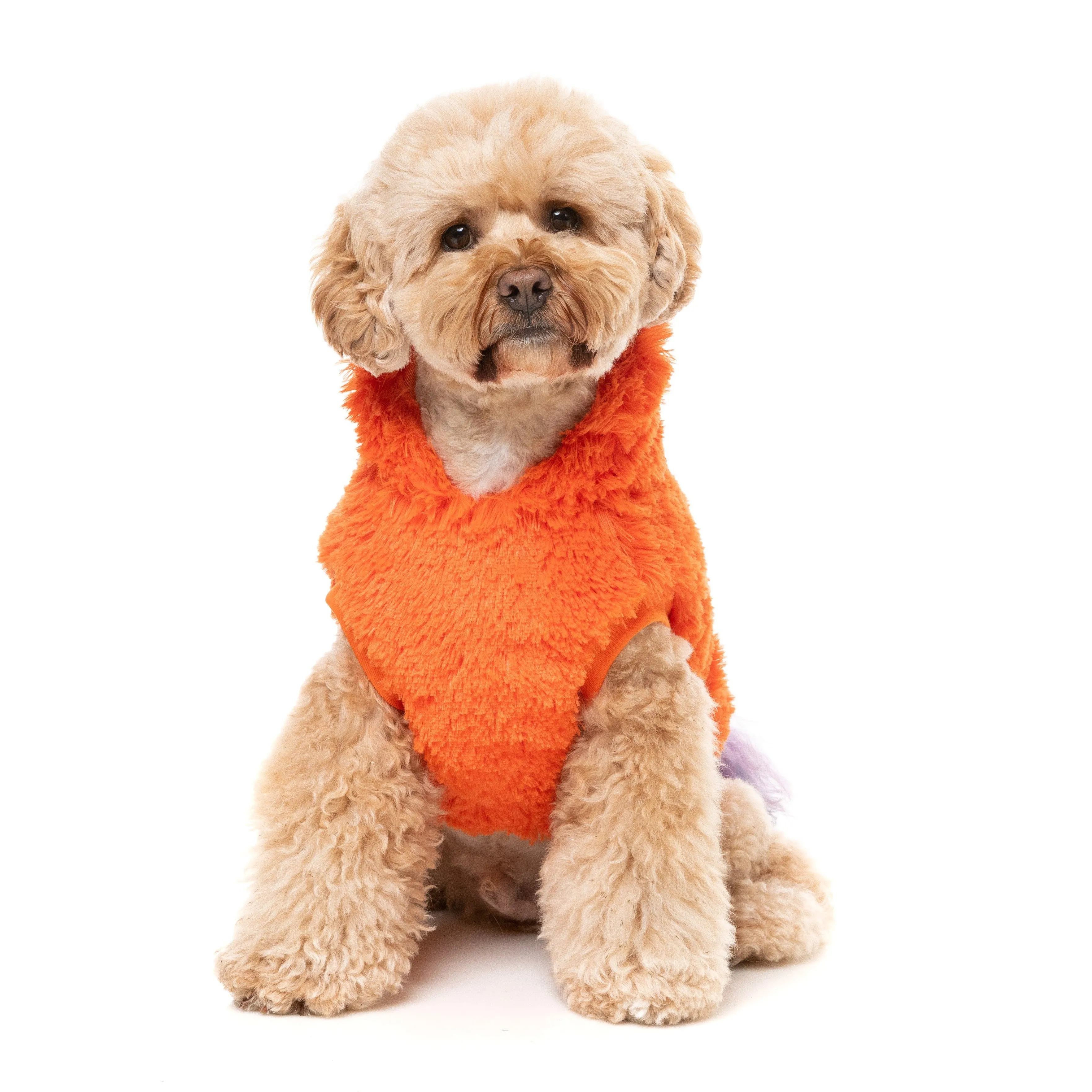 FuzzYard Halloween Dog Apparel Pumpkin Head Hoodie Size 5