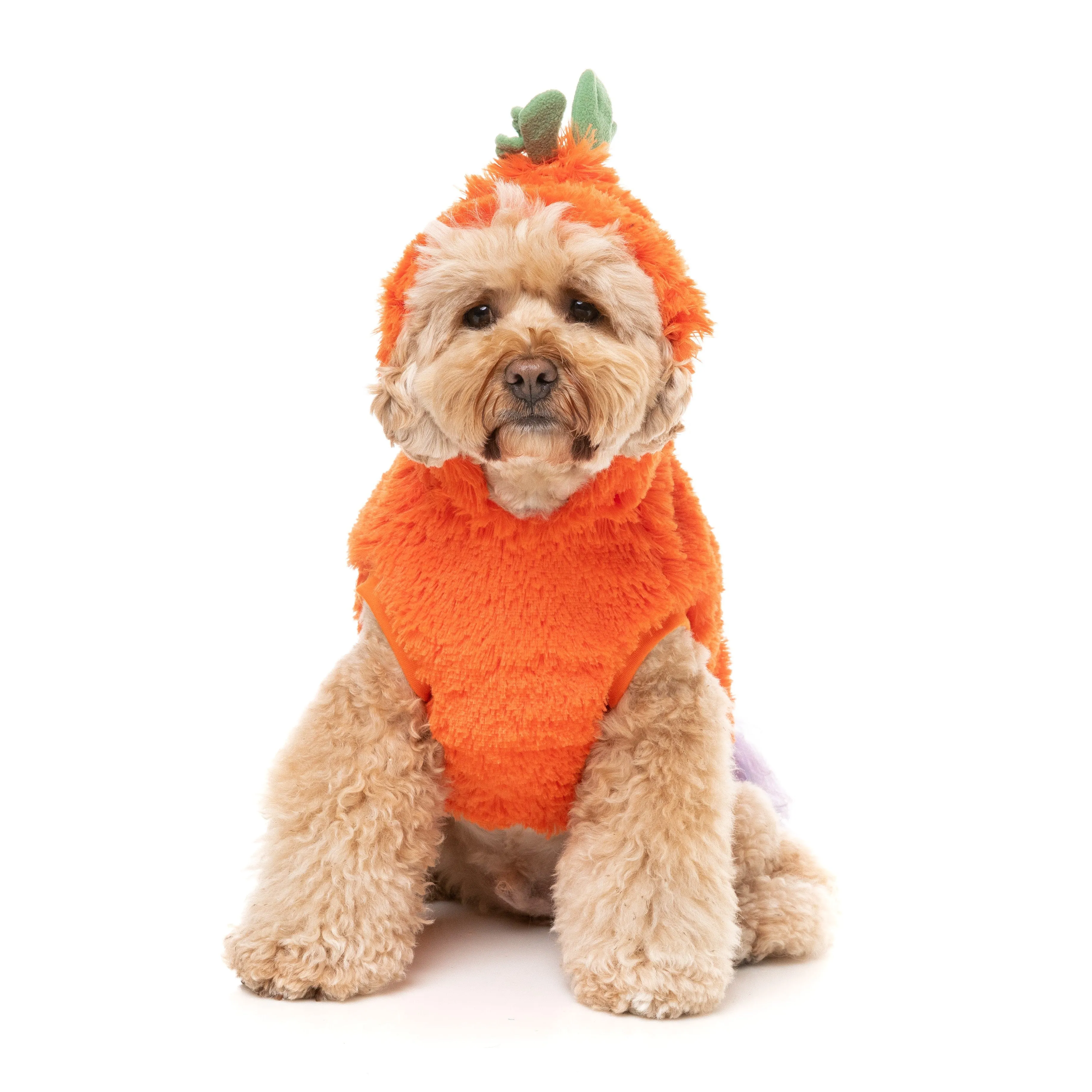 FuzzYard Halloween Dog Apparel Pumpkin Head Hoodie Size 5