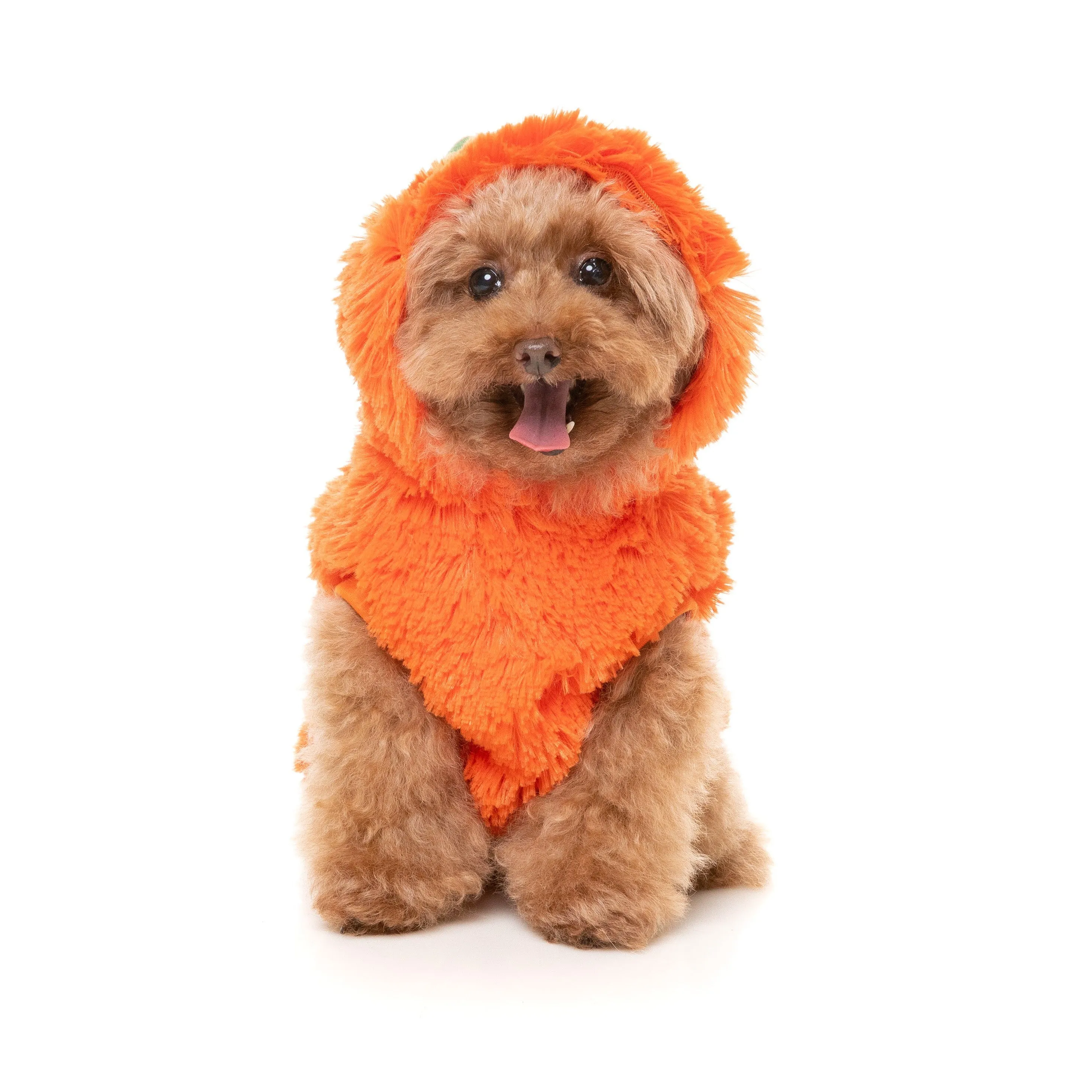 FuzzYard Halloween Dog Apparel Pumpkin Head Hoodie Size 5